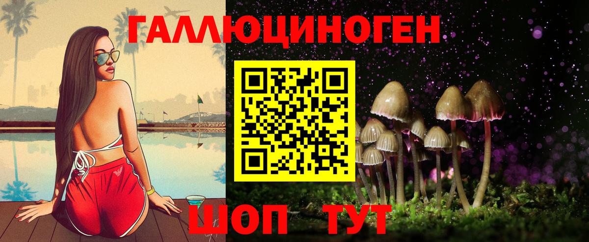 Минусинск  Псилоцибиновые грибы прущие грибы  Галлюциногенные грибы Psilocybine cubensis  Вход с VPN 